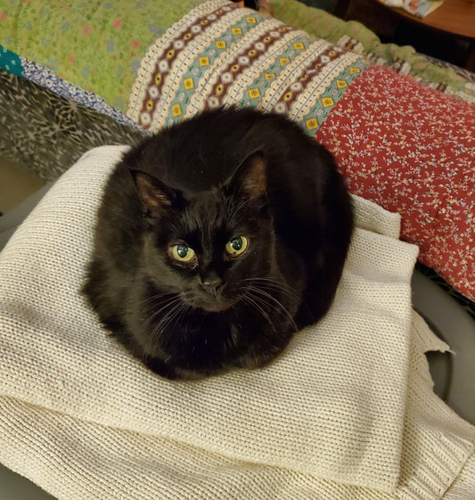 Picture of Yoshi, our black cat, bread-loafing very hard on a white blanket